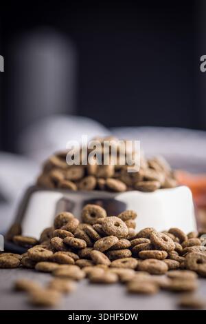 Cibo per animali domestici asciutto. Asciugare il cibo kibble su un tavolo grigio. Foto Stock