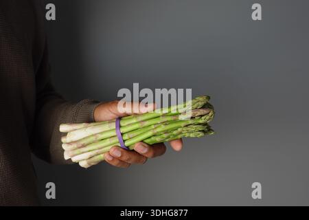 Persona che tiene in mano un fascio di asparagi verdi Foto Stock