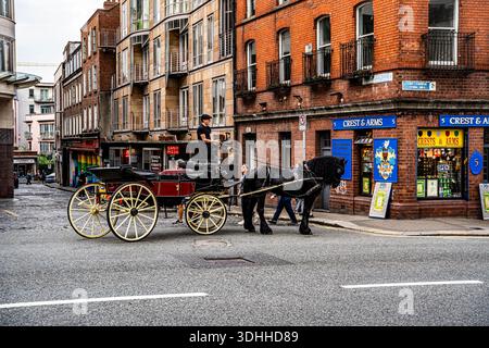Carrozza trainata da cavalli che trasporta i turisti lungo Lord Edward Street, catturando un modo tradizionale e pittoresco di visitare Dublino, Irlanda Foto Stock