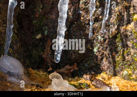 Primo piano di ghiaccioli congelati con gocce d'acqua al sole Foto Stock