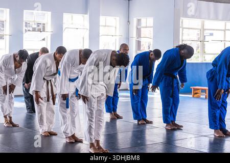 Diversi studenti di arti marziali che si inchinano su tappetini imbottiti nella sala di allenamento indossando gis con cinture. Arti marziali, dojo, disciplina, fitness, cameratismo, training, sport || modello rilasciato Foto Stock