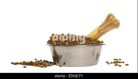 Ciotola per alimenti per cani riempita con kibble secco e osso di rawhide per animali domestici Foto Stock