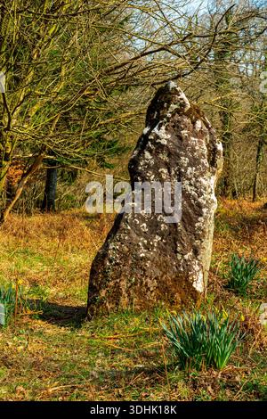 La Long Stone o Longstone, probabilmente un'antica pietra in piedi vicino al villaggio di Staunton nella foresta di Dean, Gloucestershire, Inghilterra, Regno Unito. Foto Stock
