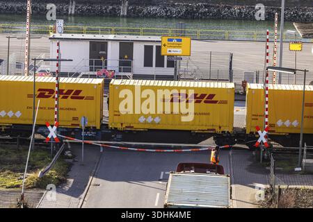 Treno merci caricato con container giallo da DHL. Attraversamento ferroviario nella zona portuale di Mannheim, Baden-Wuerttemberg, Germania Foto Stock