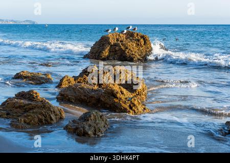 I gabbiani si aprono su rocce soleggiate mentre le onde turchesi si infrangono dolcemente contro la spiaggia sabbiosa di El Matador State Beach a Malibu, California. Foto Stock