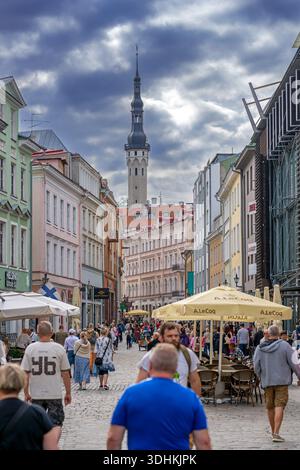 Campanile del XVII secolo del municipio e dei turisti nella via dello shopping della città Vecchia della capitale Tallinn in estate, Contea di Harju, Estonia Foto Stock