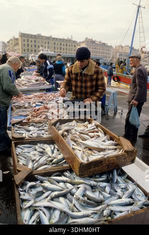 francia Marsiglia marche mercato del pesce pecheur vendita al mattino porto di pescatore fresco criée Foto Stock