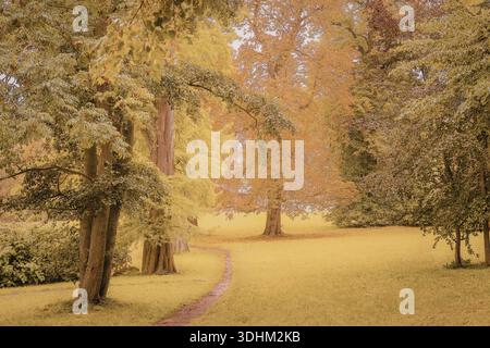 Un tranquillo scenario autunnale in un parco, caratterizzato da un percorso tortuoso circondato da alberi colorati e lussureggiante erba verde. Foto Stock