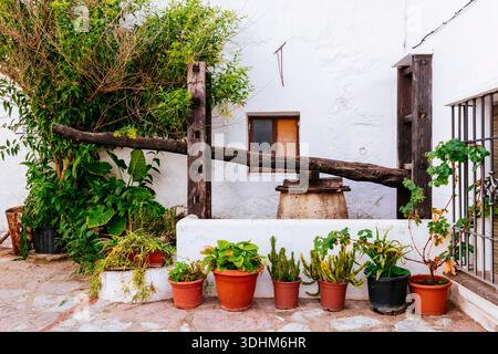 Frammento di una vecchia pressa in legno. Tipica strada. Atajate, Sierra de Ronda, Málaga, Andalucía, Spagna, Europa Foto Stock