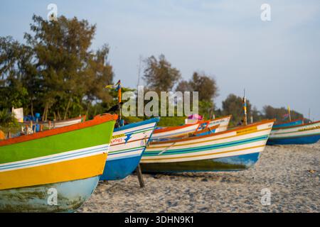 Alappuzha, India - 5 marzo 2023: Diverse barche da pesca colorate in legno sono allineate su una spiaggia sabbiosa con alberi e vegetazione sullo sfondo sotto un cielo limpido. Foto Stock