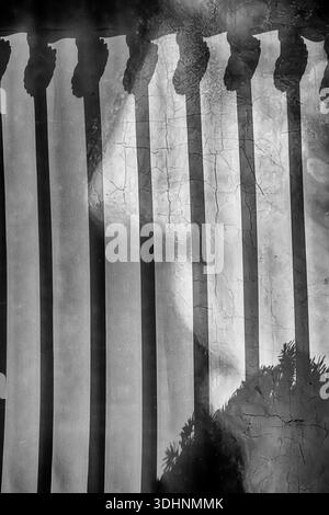 Una schermata recinzione mostra un naso molto grande punteggiato dalle ombre di una recinzione in ferro battuto. Foto Stock