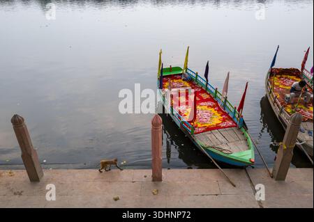 Mathura, India - 13 marzo 2024: Una scimmia cammina lungo i gradini di pietra accanto al fiume Yamuna a Ghat Vishram, con due barche in legno decorate con colori vivaci con bandiere ancorate al bordo dell'acqua e una persona seduta su una delle barche. Foto Stock