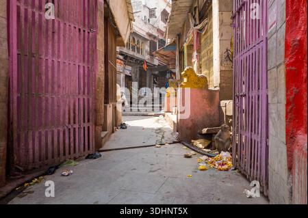Mathura, India - 14 marzo 2024: Si vede una scimmia seduta a terra accanto a offerte di fiori e detriti sparpagliati nel vicolo di ingresso di Ghat Vishram, con porte dipinte di rosa e rosso, statue di leoni gialli ed edifici in pietra visibili lungo il vicolo. Foto Stock