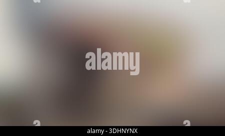 Uno sfondo astratto e sfocato caratterizzato da forme morbide e sfocate in tonalità marrone, marrone e grigio, che creano un'estetica liscia e minimalista per vari tipi di persone Foto Stock