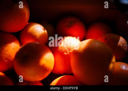 Composizione drammatica di Chiaroscuro Citrus a Villajoyosa Foto Stock