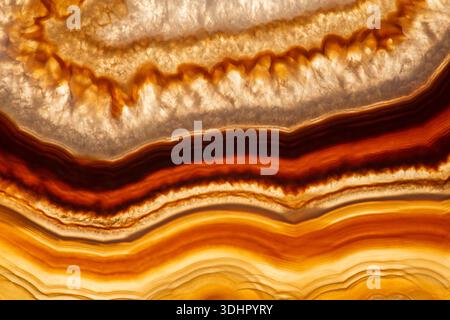 Una fetta di agata che mostra bande di minerali e cristalli colorati c Foto Stock