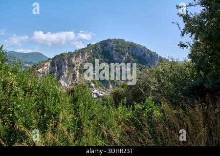 Una vivace bancarella di frutta di strada a Corfù, in Grecia, che espone pesche e uva fresche di stagione sotto ombrelli a strisce blu e bianche in una giornata di sole. Foto Stock