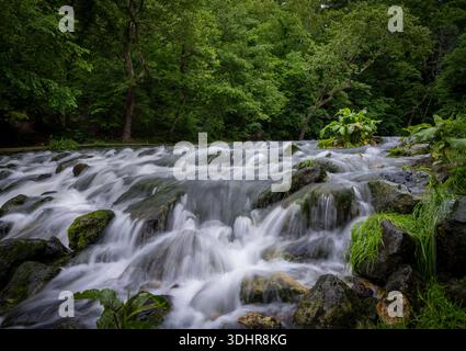 Veduta delle cascate d'acqua che corrono su rocce muschiate, incorniciate da lussureggianti fogliame verde, una vibrante mostra della bellezza della natura, Steelville, Missouri, United Stat Foto Stock