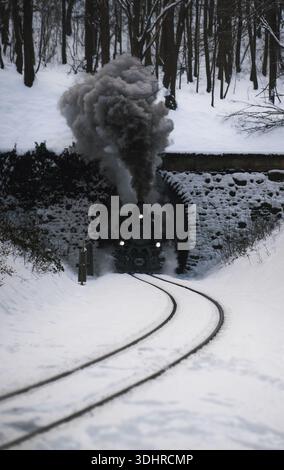 La vista di un treno a vapore d'epoca emerge da un tunnel buio tra un paesaggio di foresta innevata, il fumo nero che contrasta con la neve bianca, Budapest, H. Foto Stock