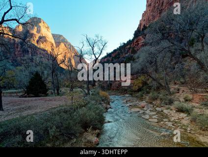 Zion Canyon nel Parco Nazionale di Zion, Utah - alberi di ginepro sul fondovalle lungo il fiume Virgin a valle del sentiero Emerald Pools. Foto Stock