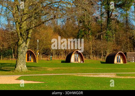 Fila di baccelli in legno al Bracelands Campsite vicino a Coleford nella foresta di Dean Gloucestershire Inghilterra Regno Unito. Foto Stock
