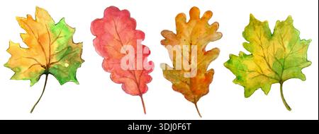 acquerello foglie autunnali in verde, rosso e marrone isolate su sfondo bianco Set di 4 dipinti a mano Foto Stock