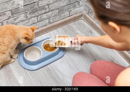 L'apparecchio versa il cibo secco in un recipiente per il gatto. Una donna spende del cibo per un gatto. prendersi cura di un gatto domestico. paletta per alimenti secchi. dare da mangiare al gatto. un gatto Foto Stock