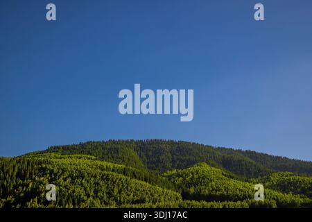 La catena montuosa si erge maestosamente su una lussureggiante foresta. La tranquilla scena all'aperto cattura la bellezza naturale e la tranquillità della natura selvaggia diurna. Foto Stock