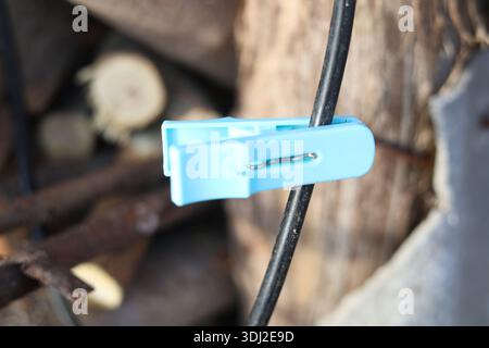 Oggetto domestico clothespin in plastica blu Foto Stock