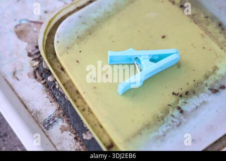 Oggetto domestico clothespin in plastica blu Foto Stock