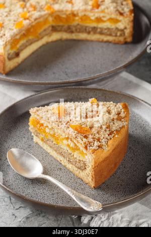 Torta vegetariana fatta in casa con albicocche secche e noci macinate da vicino in un piatto sul tavolo. Verticale Foto Stock