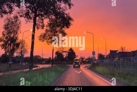 Strada bagnata all'alba con cielo acceso, alberi sagomati e luci per auto che si riflettono sul marciapiede. Foto Stock