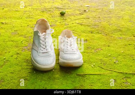 Un paio di sneaker minimaliste bianche su una vivace pavimentazione verde Mossy in cemento Foto Stock
