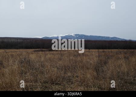 Ampio campo aperto con montagne innevate lontane Foto Stock
