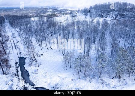 Le devastanti conseguenze di un incendio boschivo con alberi carbonizzati in un paesaggio invernale Foto Stock