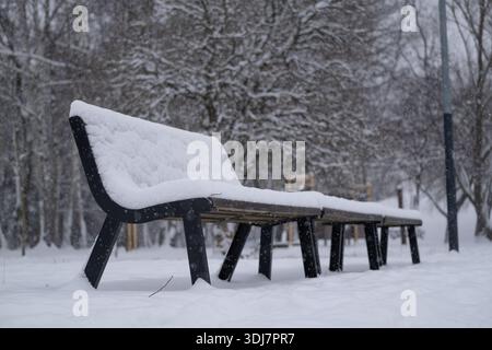 Fila di panchine vuote coperte di neve fresca in un tranquillo parco invernale durante le nevicate attive. Concetto di solitudine invernale, stagione fredda, natura urbana Foto Stock