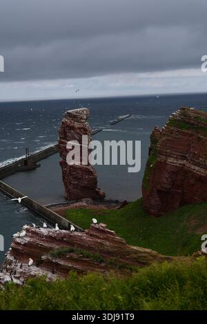 Le spettacolari scogliere costiere di Helgoland, con uccelli marini e l'iconica pila di rocce rosse che si innalzano sopra le onde del Mare del Nord. Foto Stock