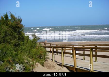 Una passerella in legno conduce attraverso dune costiere e arbusti verdi verso un oceano ondulato. Foto Stock