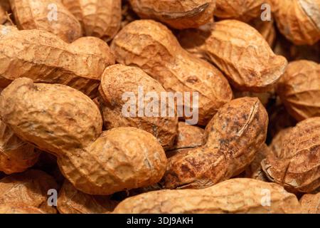 Sydney, nuovo Galles del Sud, Australia. 24 gennaio 2026. Un primo piano di un mucchio di arachidi intere nel loro guscio a Sydney, NSW, Australia. (Credit Image: © Tara Malhotra/ZUMA Press Wire) SOLO PER USO EDITORIALE! Non per USO commerciale! Foto Stock