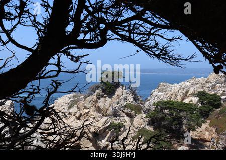 Vista dal Cypress Grove Trail nella riserva naturale statale di Point Lobos, Monterey County, California, Stati Uniti d'America Foto Stock