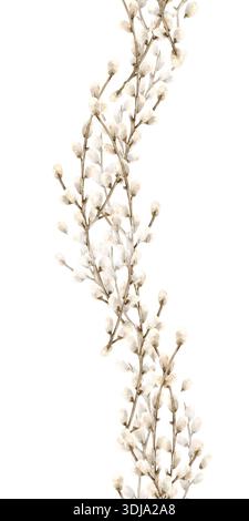 Il salice ramifica il bordo verticale senza cuciture. Composizione delle onde botaniche simbolo della festa religiosa primaverile di Pasqua. Acquerello disegnato a mano Foto Stock