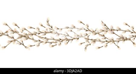 Il salice ramifica il bordo verticale senza cuciture. Composizione delle onde botaniche simbolo della festa religiosa primaverile di Pasqua. Acquerello disegnato a mano Foto Stock