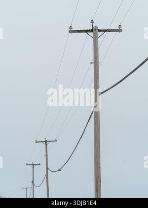 Una fila di pali in legno, Quebec, Canada Foto Stock