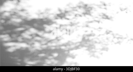 Texture gobo astratta leggera su sfondo in cemento. Illustrazione vettoriale realistica di ombre di foglie di alberi e luce solare sulle pareti, motivo naturale con silhouette floreali su superficie bianca, giardino estivo bg Illustrazione Vettoriale