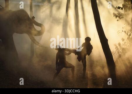 Due pugili Muay Thai che combattono accanto a un elefante nella nebbia al crepuscolo, Thailandia Foto Stock
