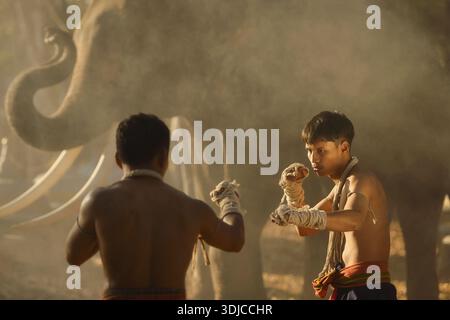 Due pugili Muay thailandesi combattono di fronte a un elefante nella nebbia al crepuscolo, Thailandia Foto Stock