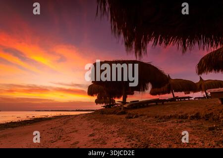 Silhouette di ombrelloni di paglia e lettini da sole su una spiaggia sabbiosa al tramonto, Hurghada, Egitto Foto Stock