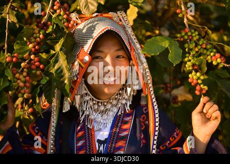 Ritratto di una donna Akha sorridente in piedi in un campo accanto a un cespuglio di caffè ciliegia tra le montagne Foto Stock