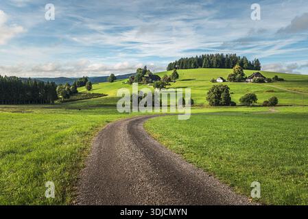Paesaggio rurale con fattorie nella Foresta Nera, Breitnau, Baden-Wuerttemberg, Germania Foto Stock
