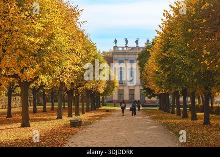 viale alberato del palazzo in autunno con fogliame dorato, foglie cadute e visitatori che camminano verso un elegante edificio storico sotto il cielo limpido, creat Foto Stock